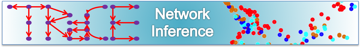 Enlarged view: Link to network inference