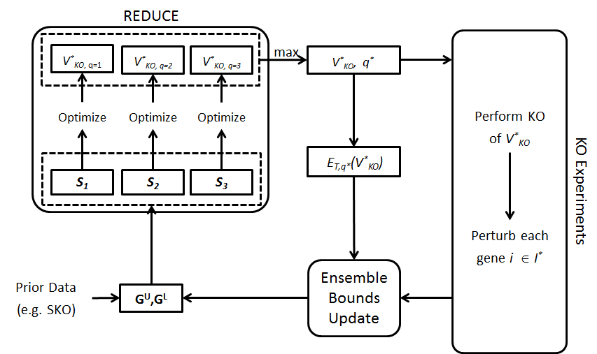 Network_Inference_Figure